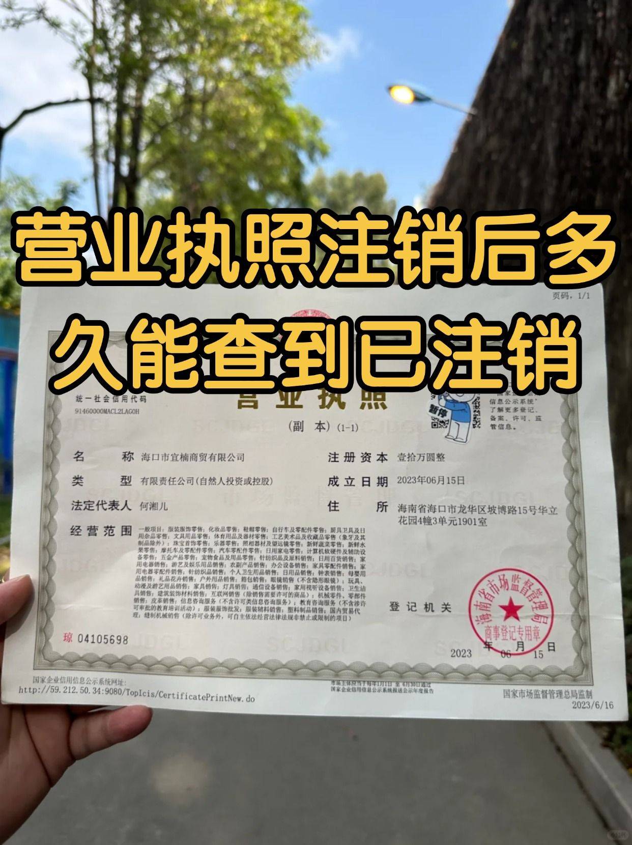 营业执照注销后多久能查到已注销