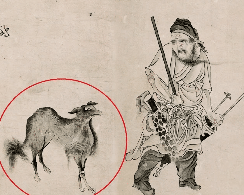 很多人理解错了_老子_生活_社会