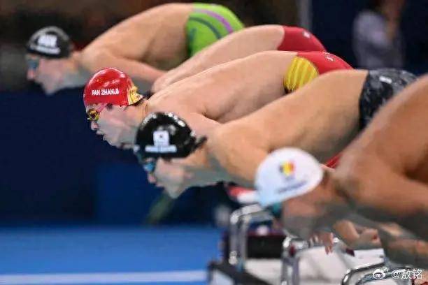 原创            奥运游泳最新战报：中国队4人出局，潘展乐被淘汰，徐嘉余晋级！-奥运游泳中国冠军