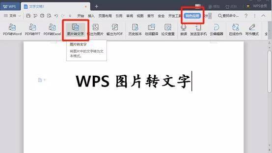 2007word图片转文字图片