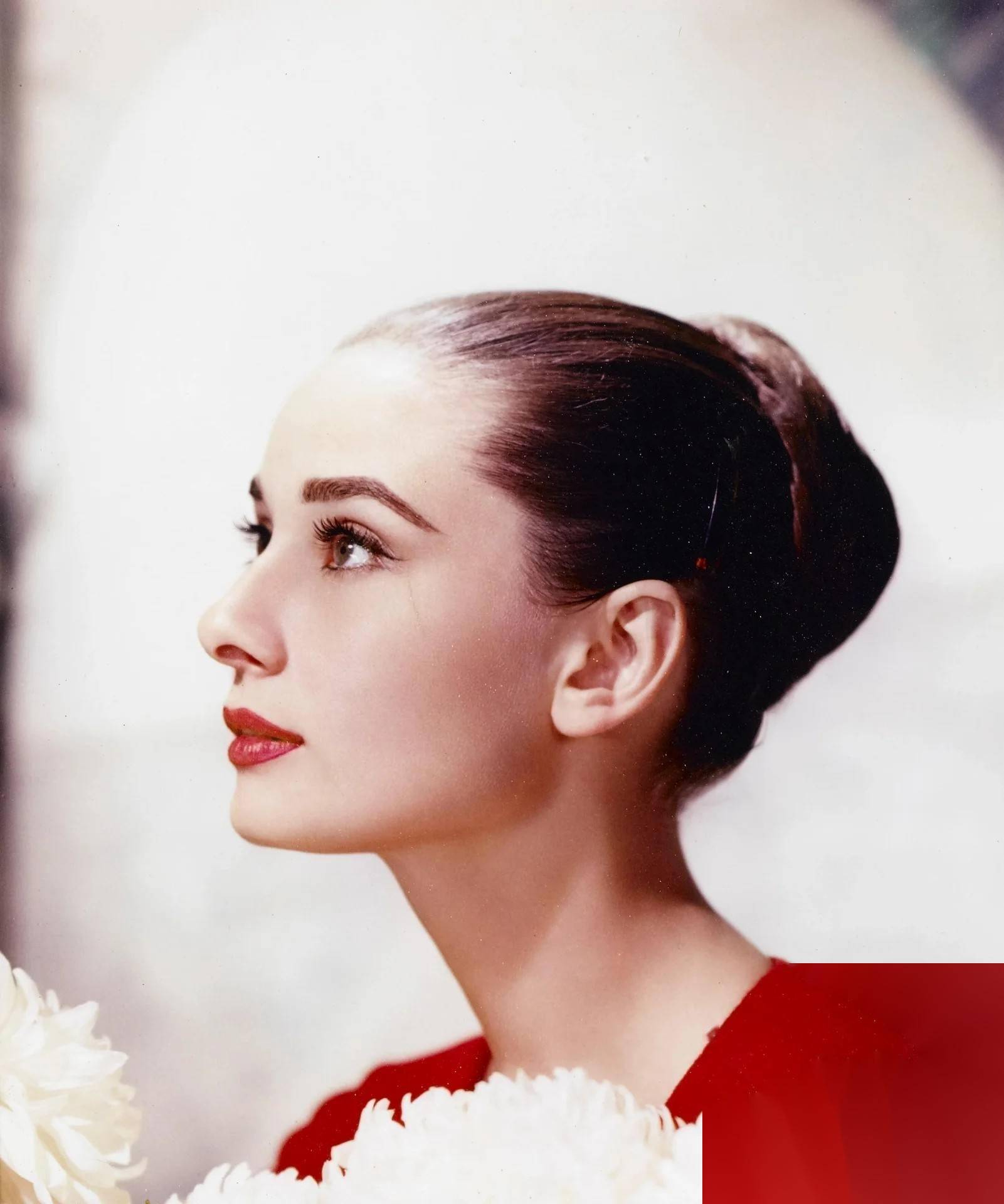 奥黛丽赫本:这谁顶得住!