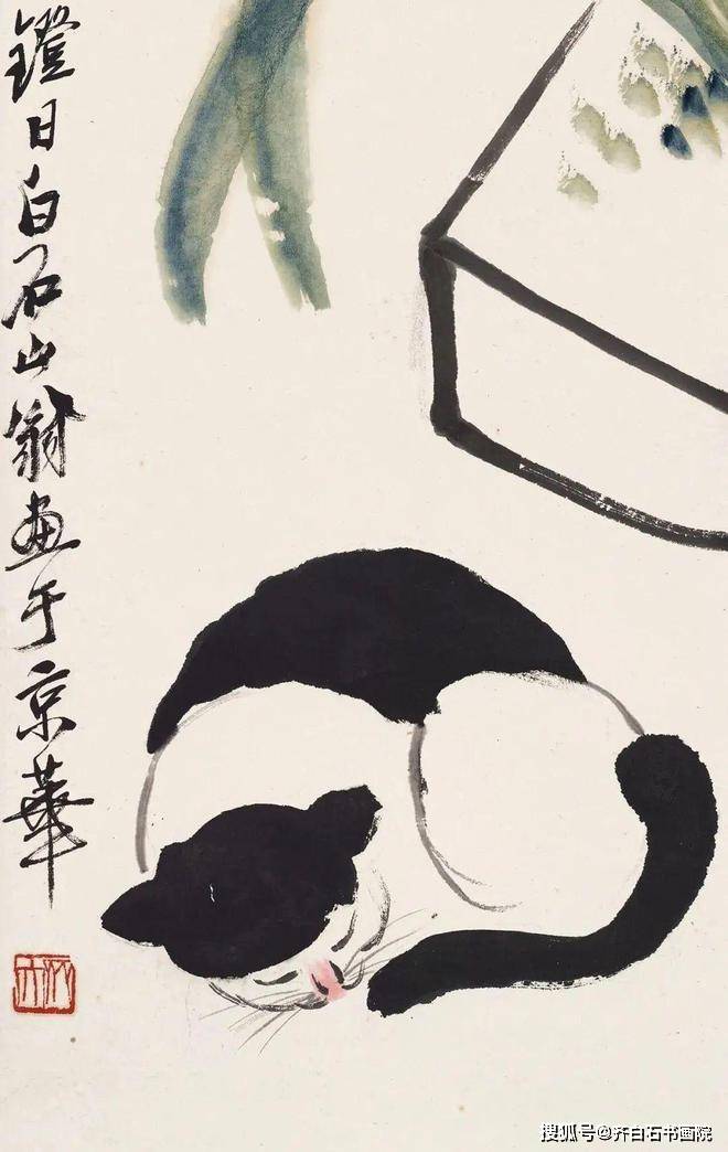如何鉴定拍卖的齐白石水仙猫咪,齐白石传人齐良芷弟子汤发周说,看猫咪
