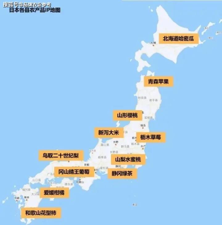 2024年日本面积人口_2024日本总人口连续13年减少!64万人消失!网友:赞成单身税