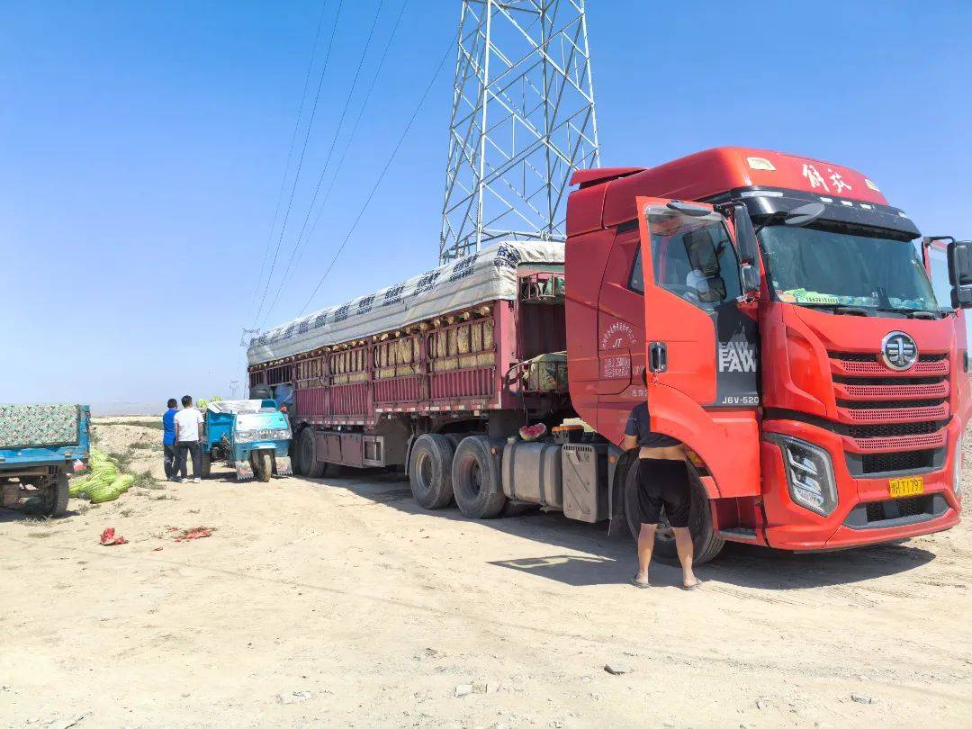 地头热闹非凡,载重量近四十吨的大货车,十多吨的冷藏车与来来往往运瓜