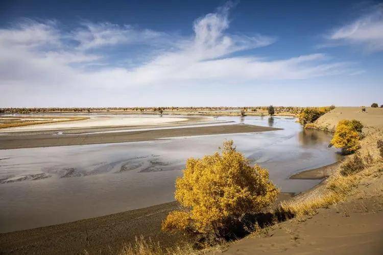 长达30年的断流,中国最长内陆河塔里木河,如何重新"复活"的?