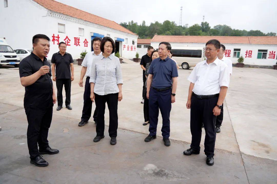 山西省纪委常委王铁梅一行到和顺县横岭镇调研指导