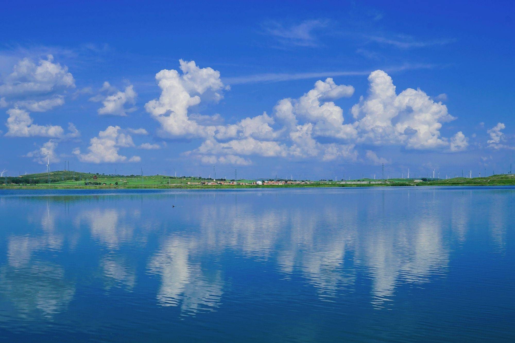 张家口康巴诺尔国家湿地公园,风景优美,还是著名的"遗鸥天堂"