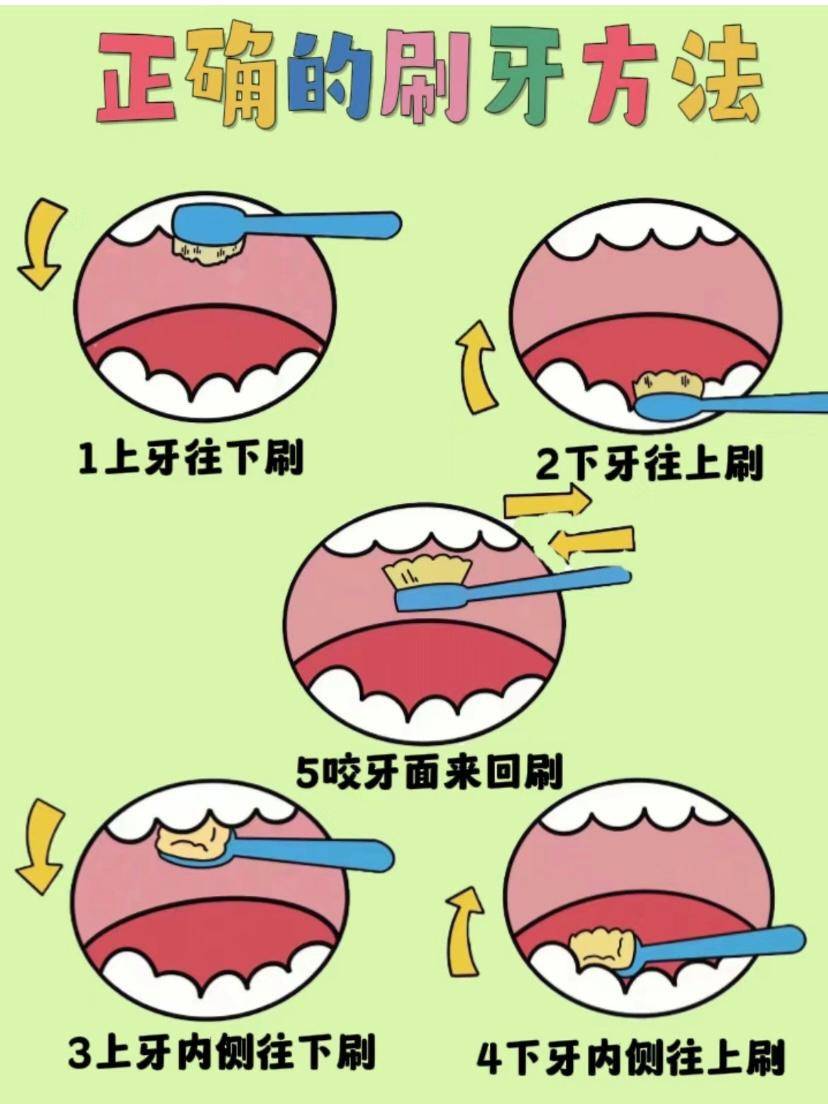 保护牙齿步骤图图片