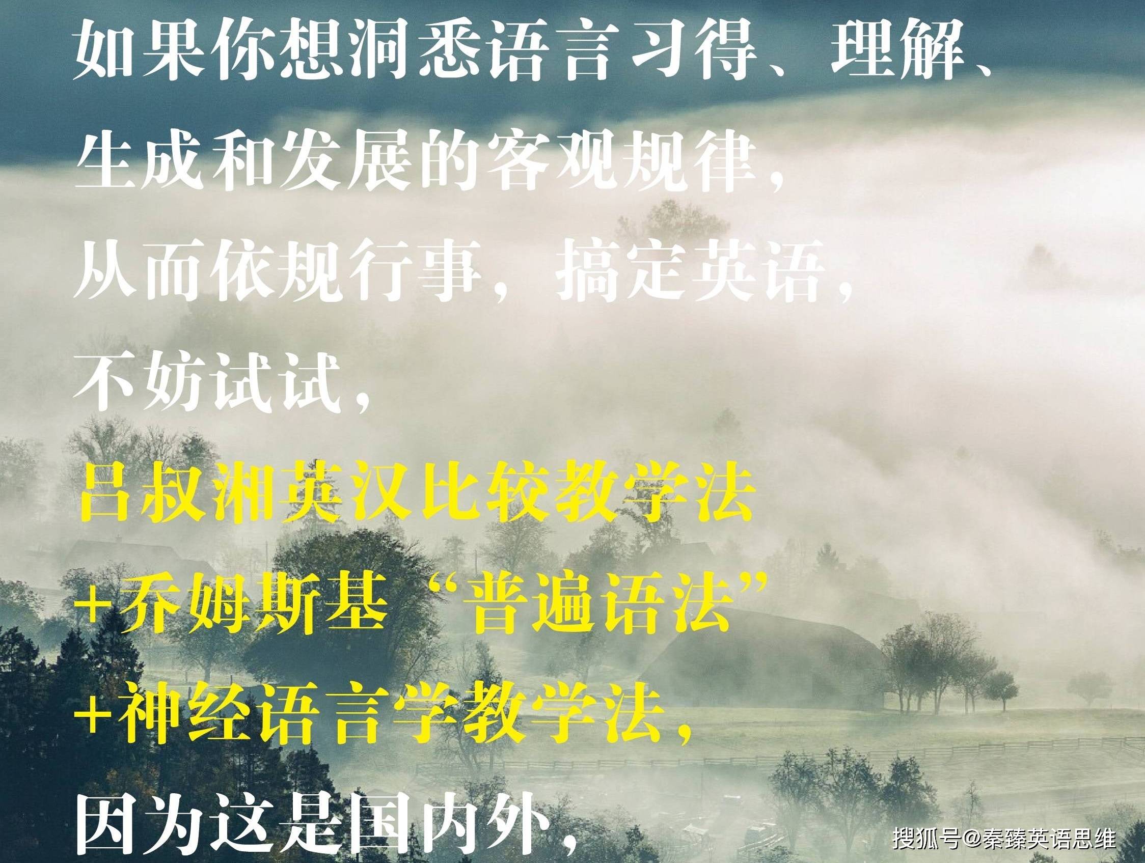 如果你想洞悉语言习得、理解、生成和发展的客观规律_教学法_依规_乔姆斯基
