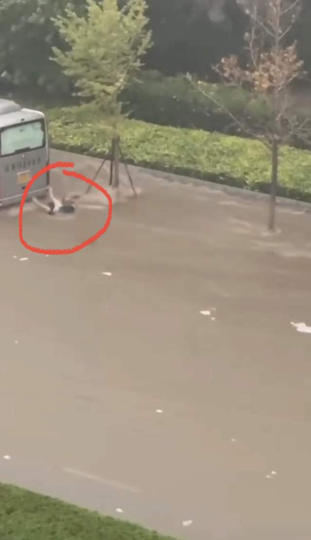 悲愤！大连暴雨内涝：两人被冲到车下溺亡，网友：违停车辆赔偿-大连大暴雨