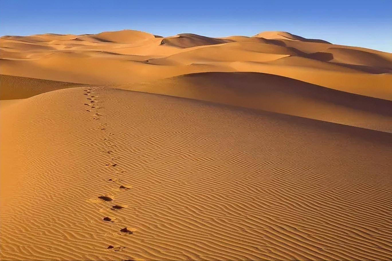 世界上最没"尊严"的沙漠,被中国人拿来种土豆,还产出1万多斤