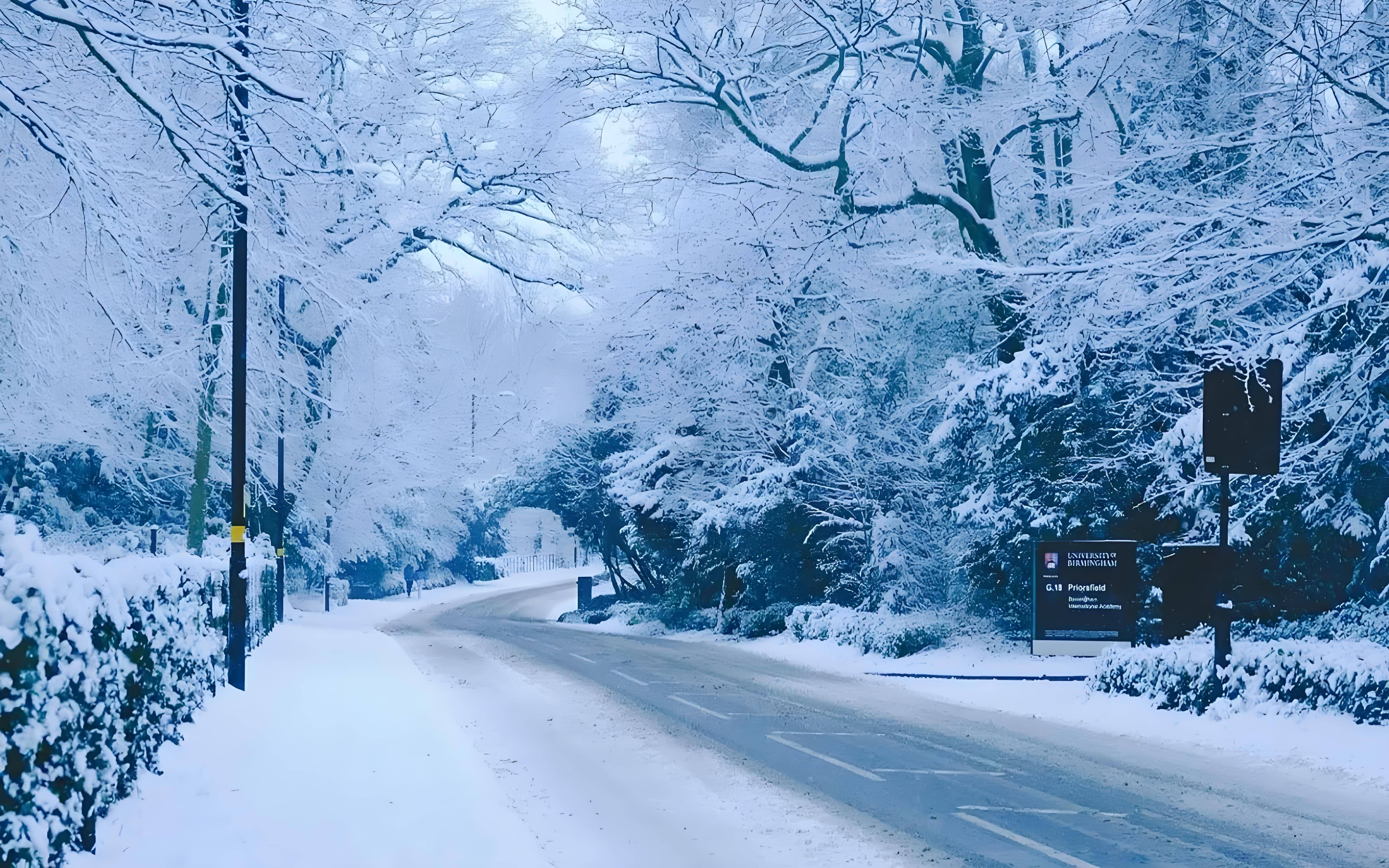 大雪照片高清大图图片