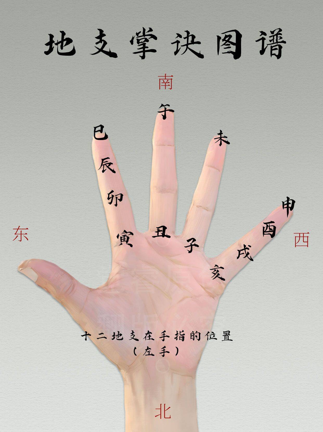 一学就废的掐指一算