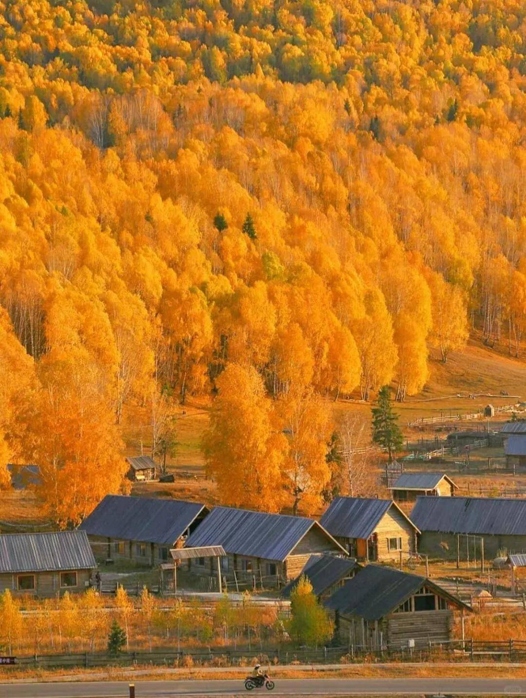 图片[4]-秋色撩人，这九个地方美爆了！-华闻时空