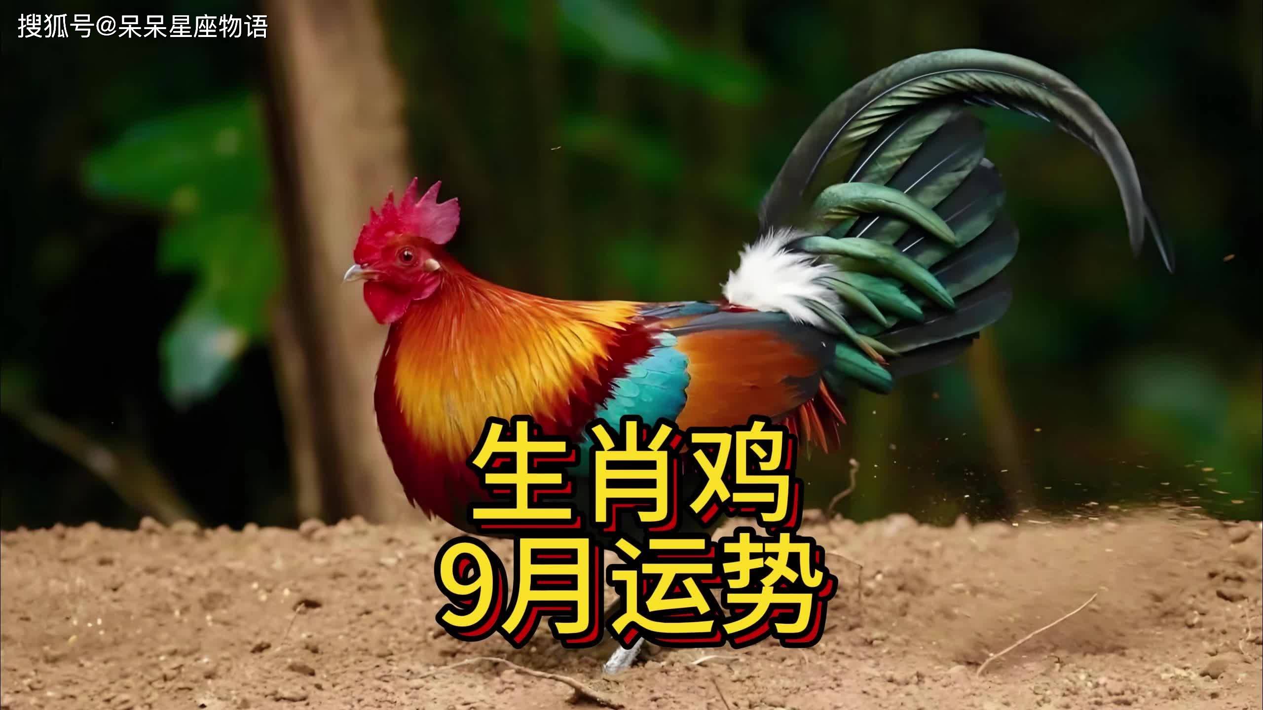 鸡年一月生肖运势(属鸡年在2021年1月份运势十二生肖网)
