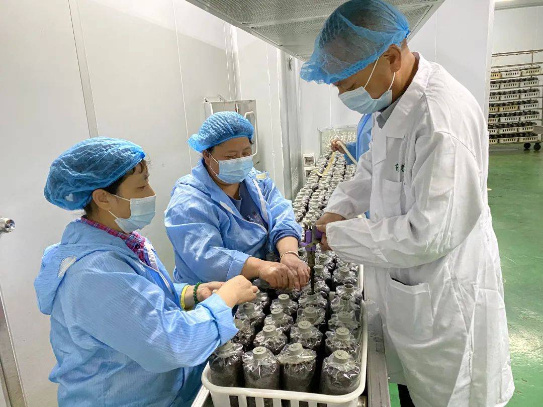 生物科技公司引领未来医疗革命
