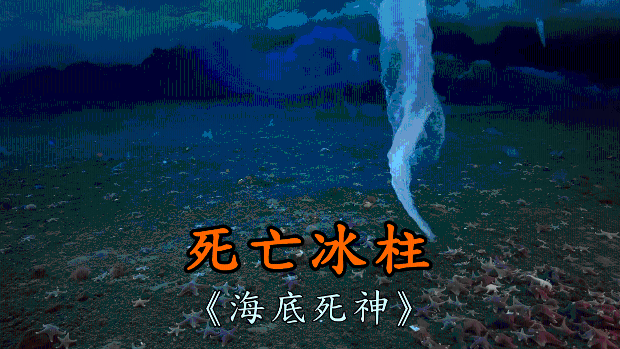暗无天日的海底,突然出现一根死亡冰柱