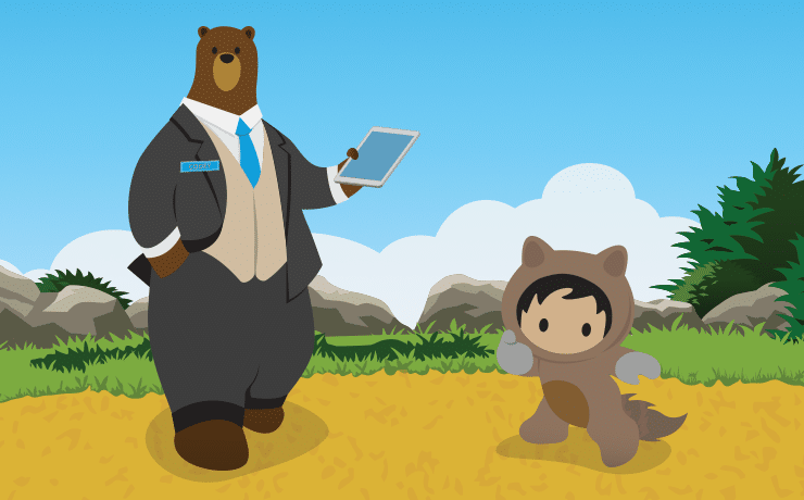 这些Salesforce开发领域的术语，你知道多少？（业内术语之系列五）