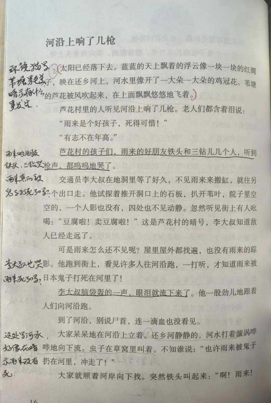 《小英雄雨来》阅读批注笔记5:河沿上响了几枪