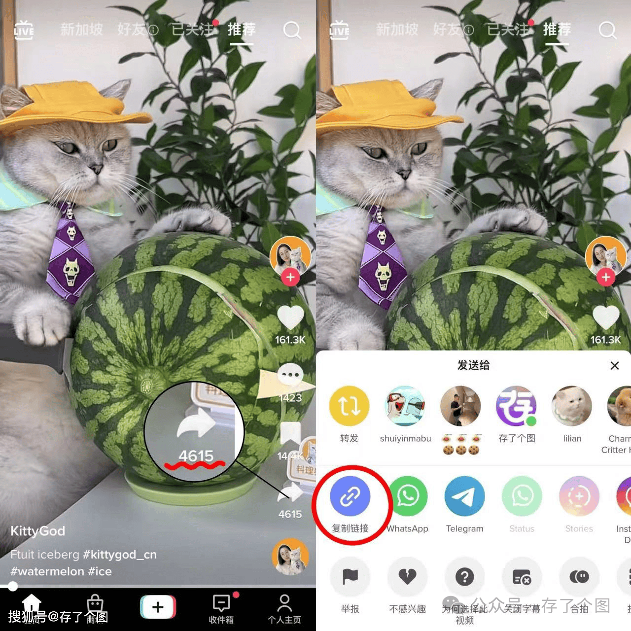 YYDS！我真的爱死这个无水印保存TikTok视频的方法了！_手机搜狐网