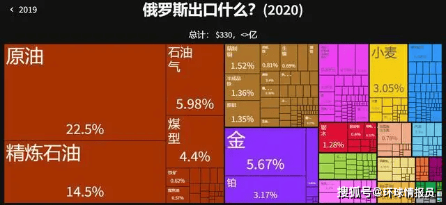 柳德米拉普京娜的回忆图片