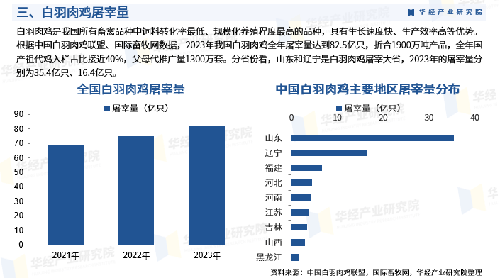 白羽肉鸡采食量表图片