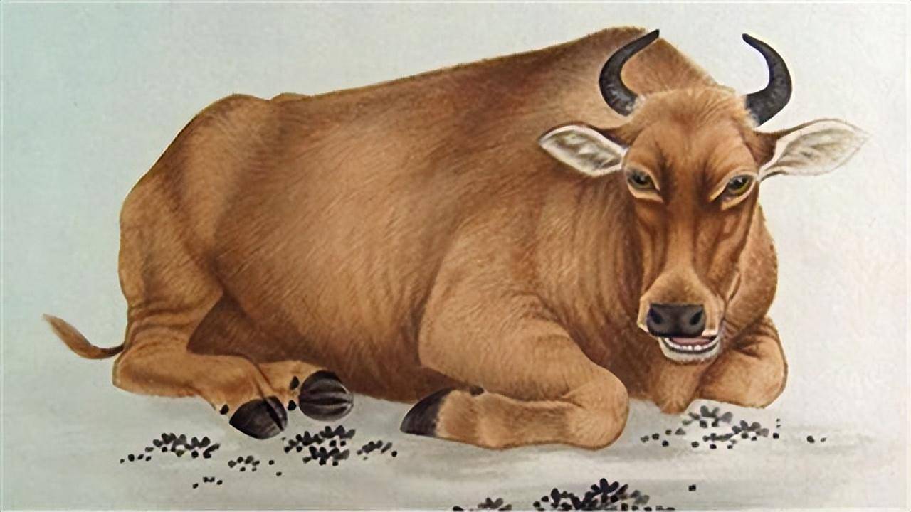 生肖猪4月份财运运势(属猪的4月财运)