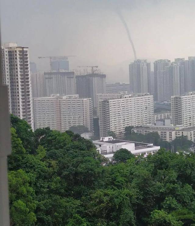 飞龙在天 香港维多利亚湾现巨大水龙卷