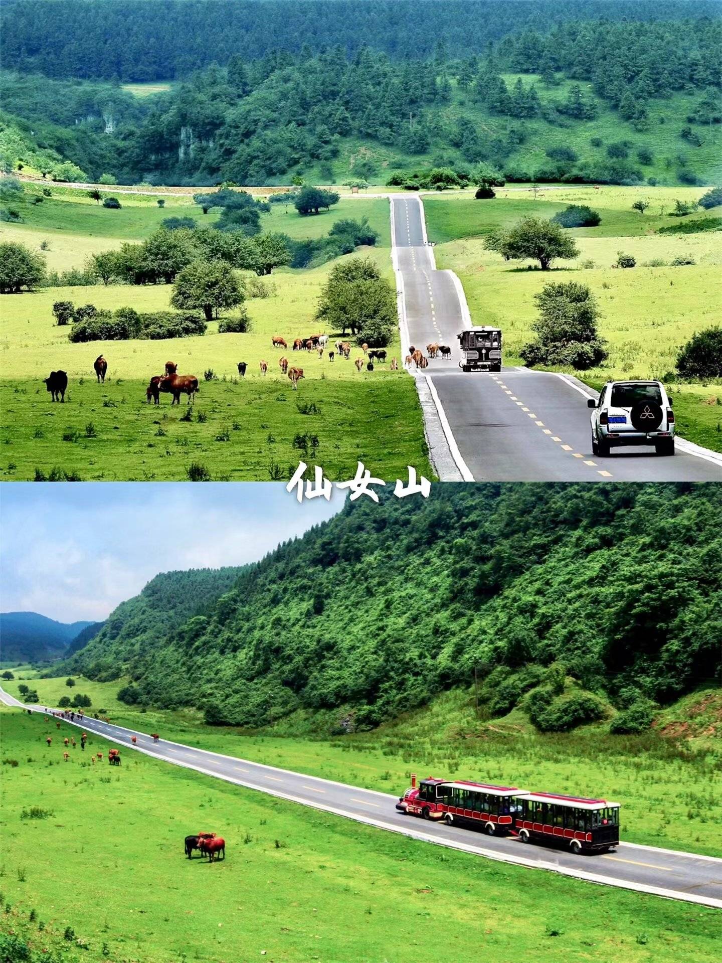 厦门旅游：海上花园的魅力之旅，美食与美景的完美结合