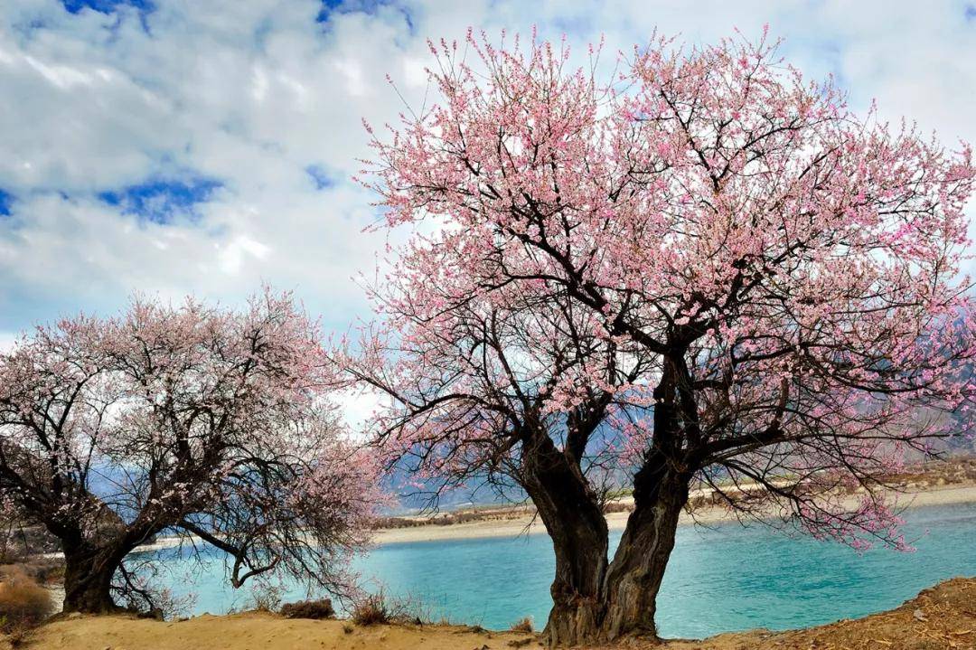 图片[60]-遗落人间的仙境！中国这20个旅行地美到窒息！ -华闻时空
