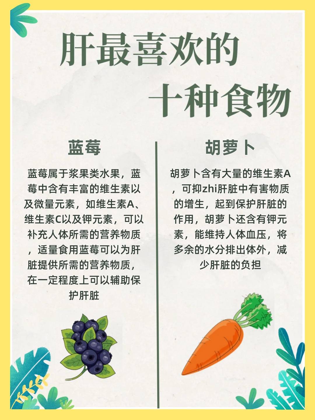 牛蒡根,甘草,葛根,枸杞,菊花,金银花,人参,桂花决明子清肝明目;菊花散