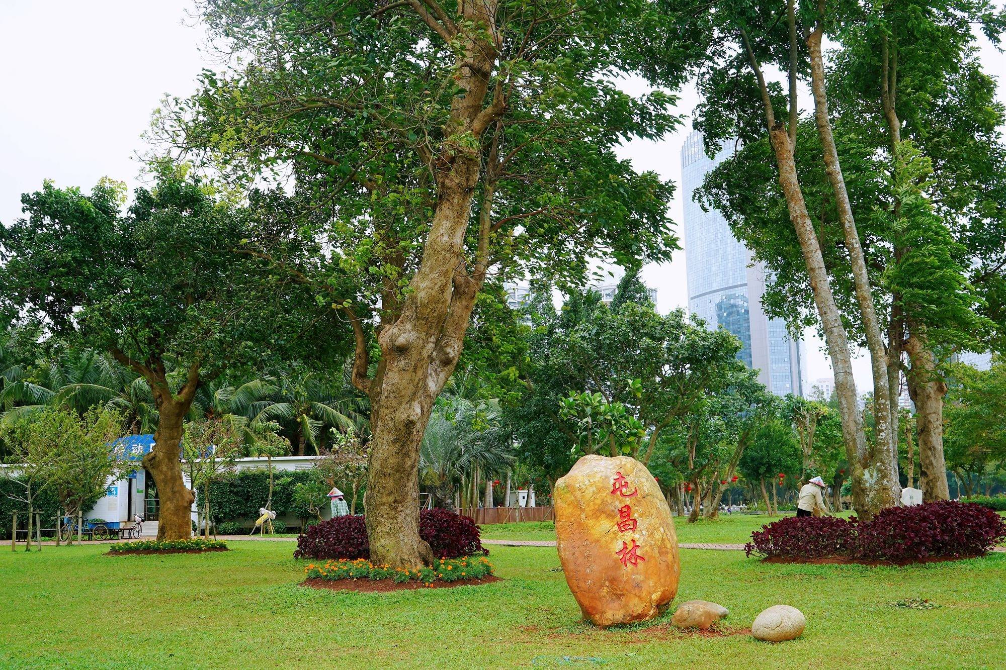 海口万绿园,环境优美,植被众多,是一处休闲散心的好去处