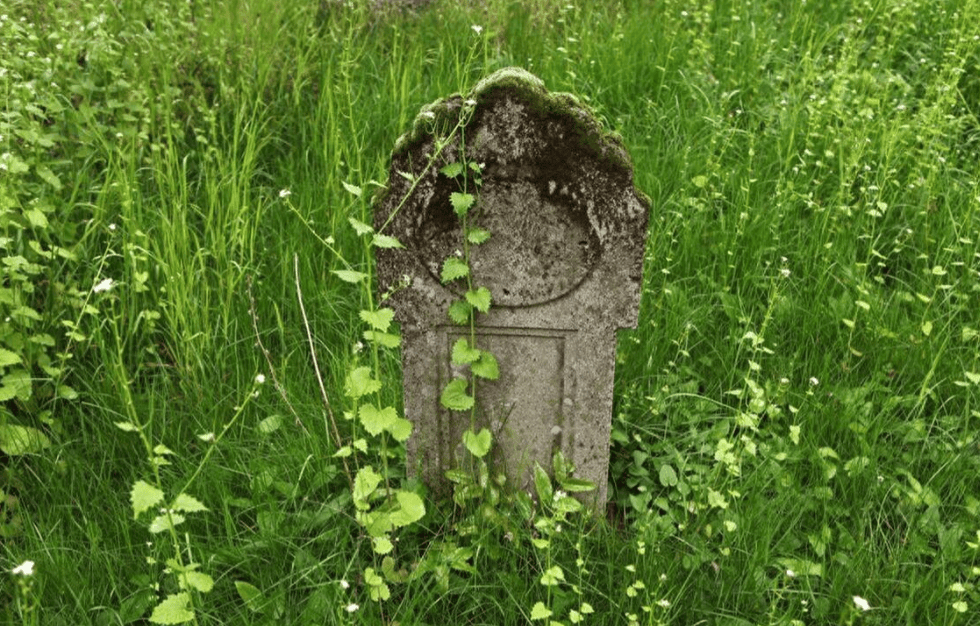 俗话说:"坟头长草家生金",祖坟长草是好事!到底该不该清理?