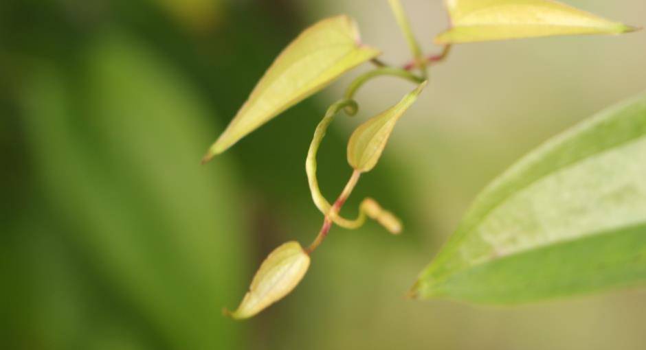 母婴王方（母婴照顾护士
师证）《母婴护理师(师资)》