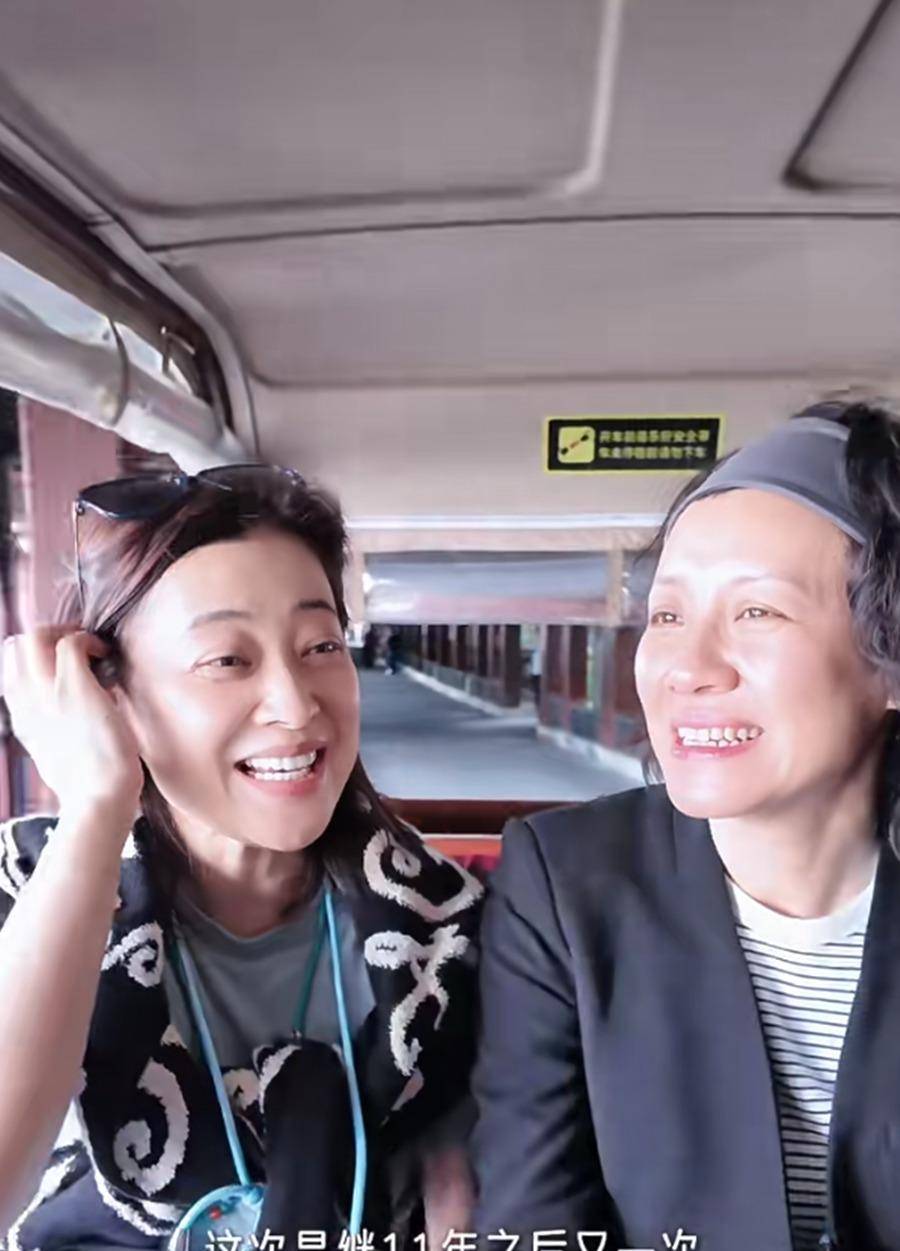 时间回到2004年,一部叫做《香樟树》的电视剧热播,剧中讲述了三个性格