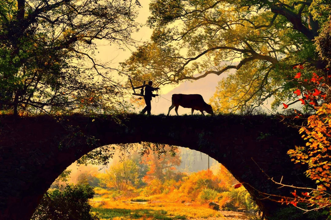 梦幻仙境ol图片