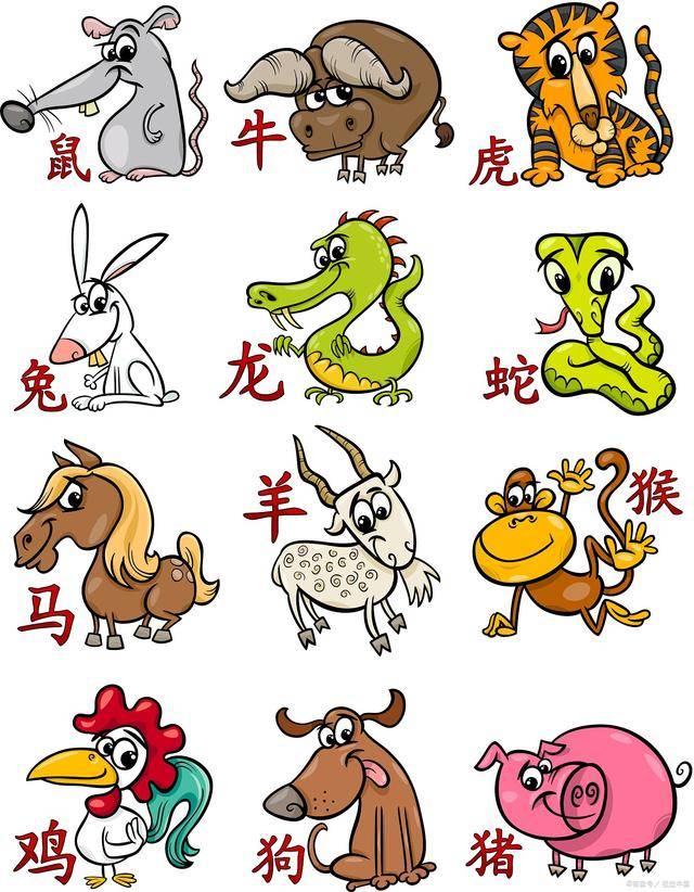 2025年十二生肖牛的最佳姻缘配对有哪些