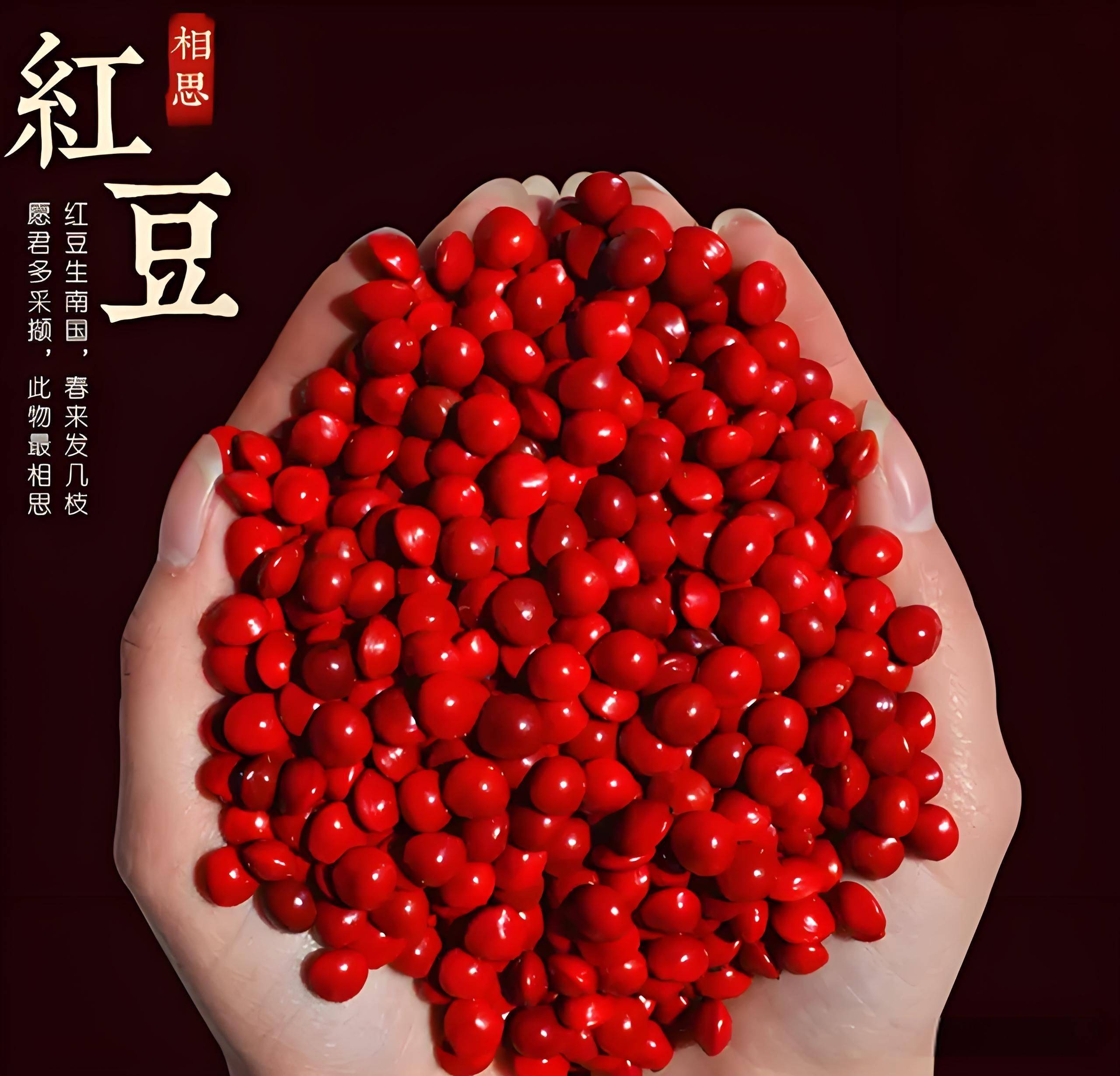 从梦蝶到红豆:十个典故带你走进古人情感世界