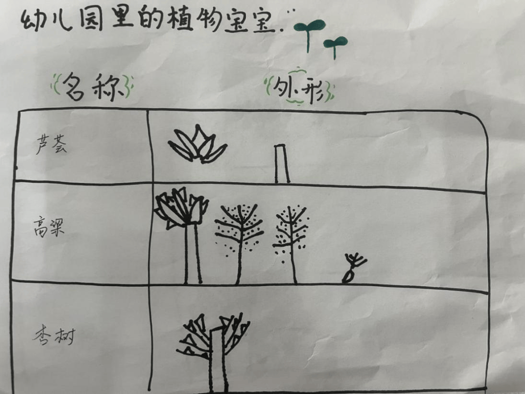 植物妈妈有办法——南乐县第一幼儿园班本课程活动(四)