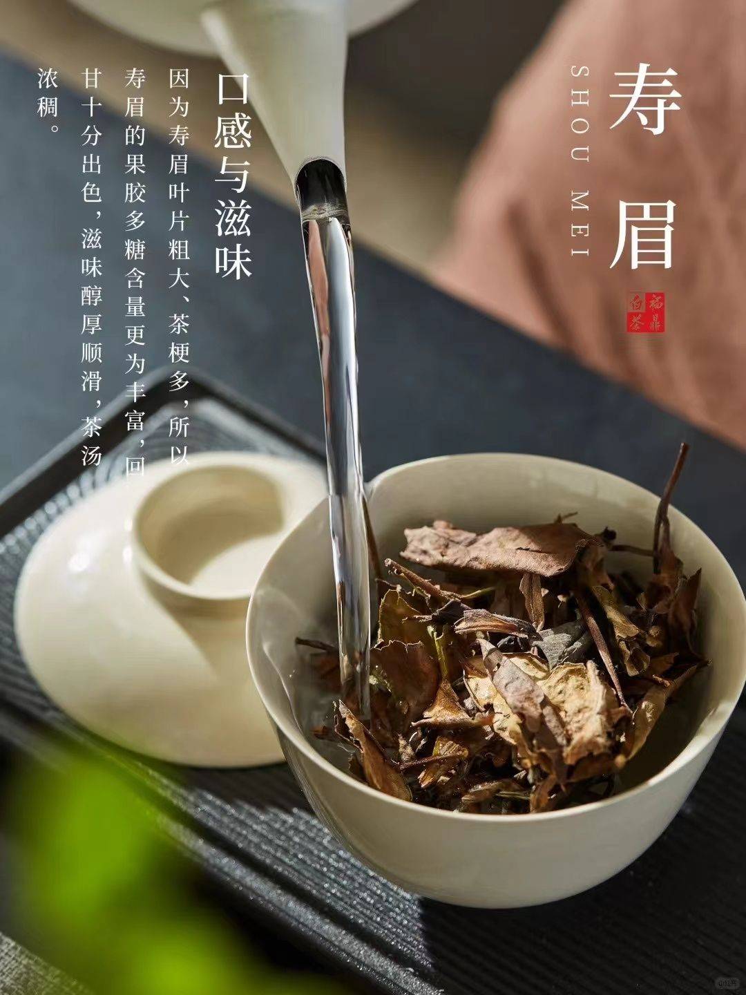 智能茶艺新纪元罗格沏茶器