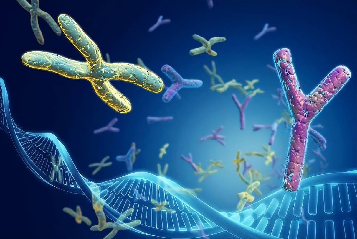 《初中生物:关键学习阶段的探索》_生物学科_知识_方面