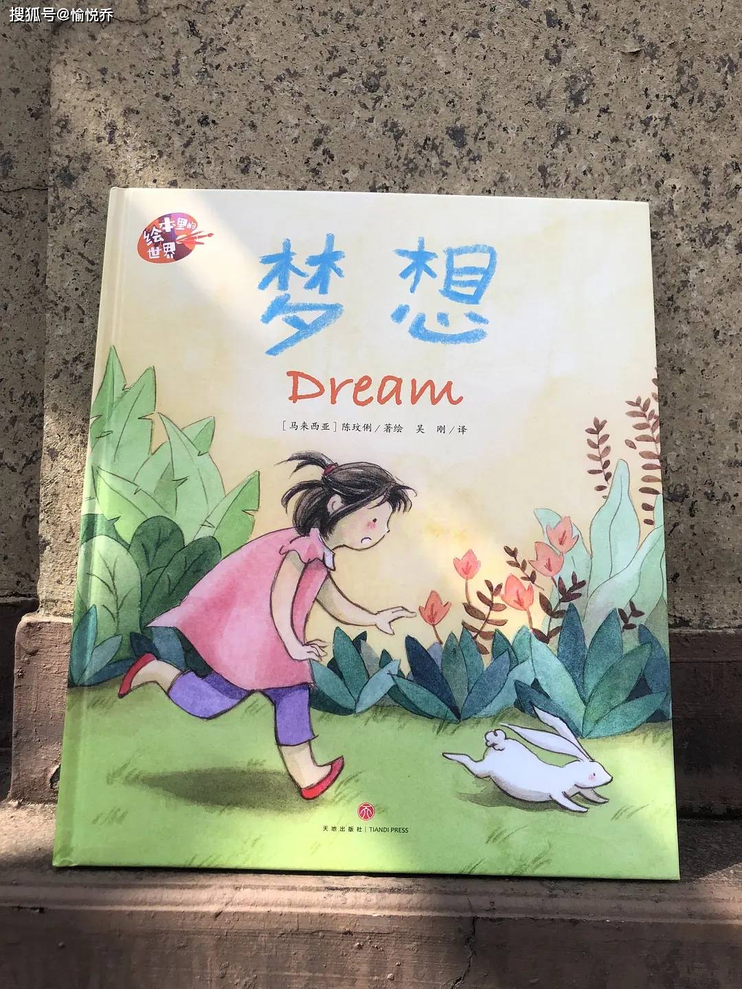 有梦想就去追逐吧，管它大还是小_兔子_什么_绘本