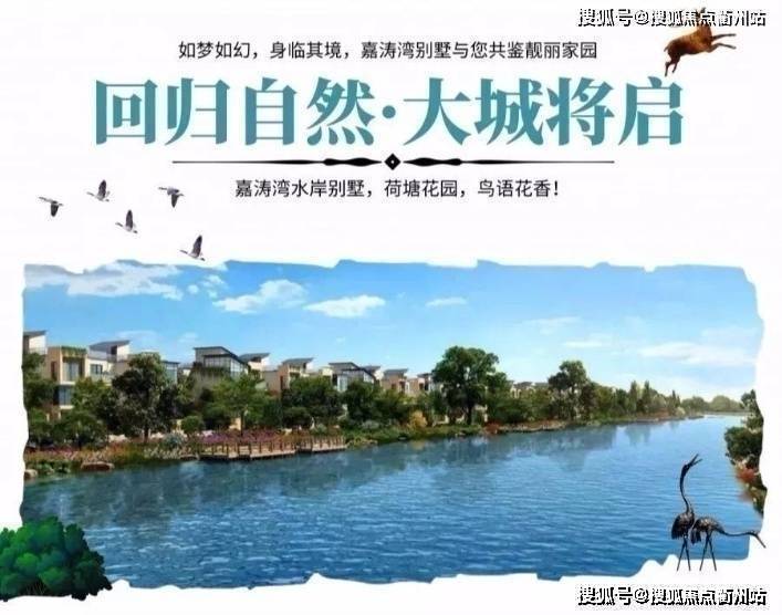 2024青浦区 (朱家角嘉涛湾别墅) 首页网站-朱家角嘉涛湾别墅欢迎您-.