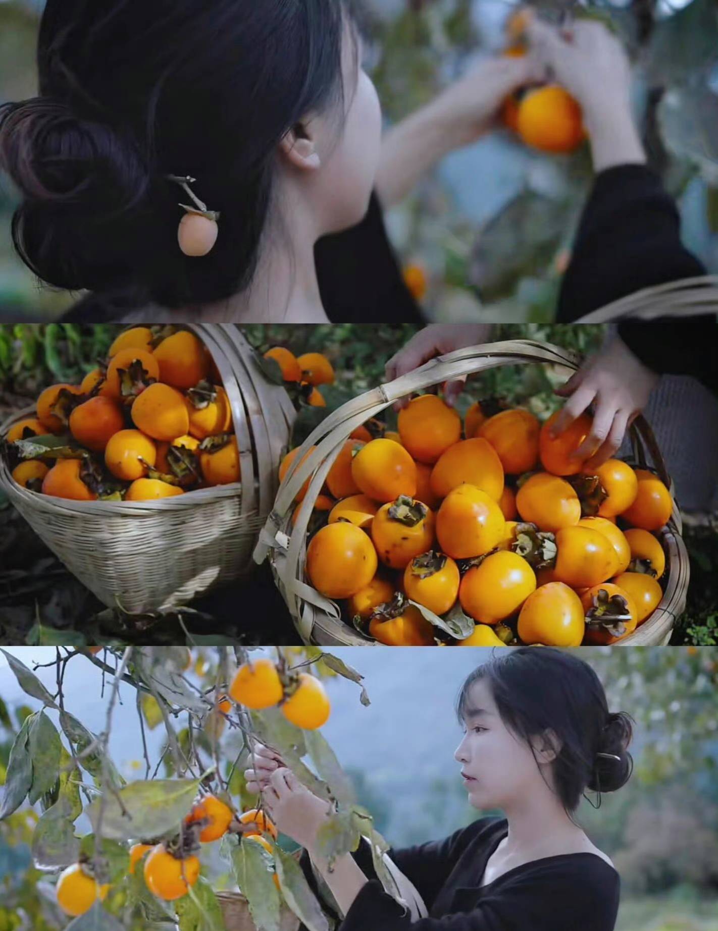 李子柒沉寂900天后,强势回归!