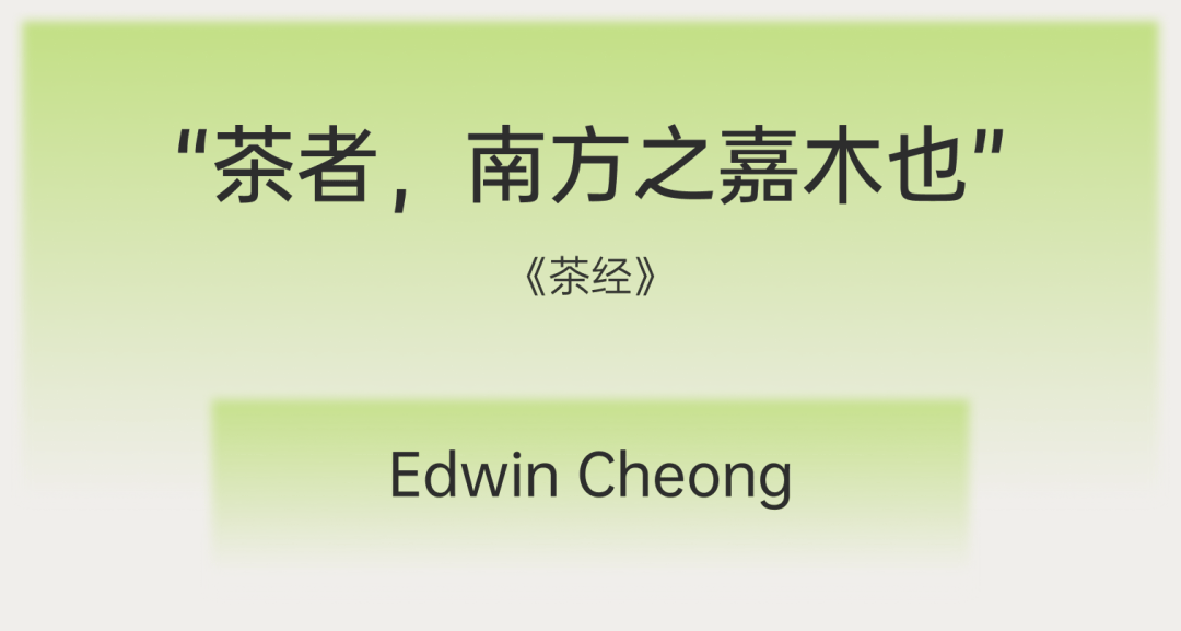 情绪的温度，精神的深度——商业艺术的下一步_常州_汤杰_空间