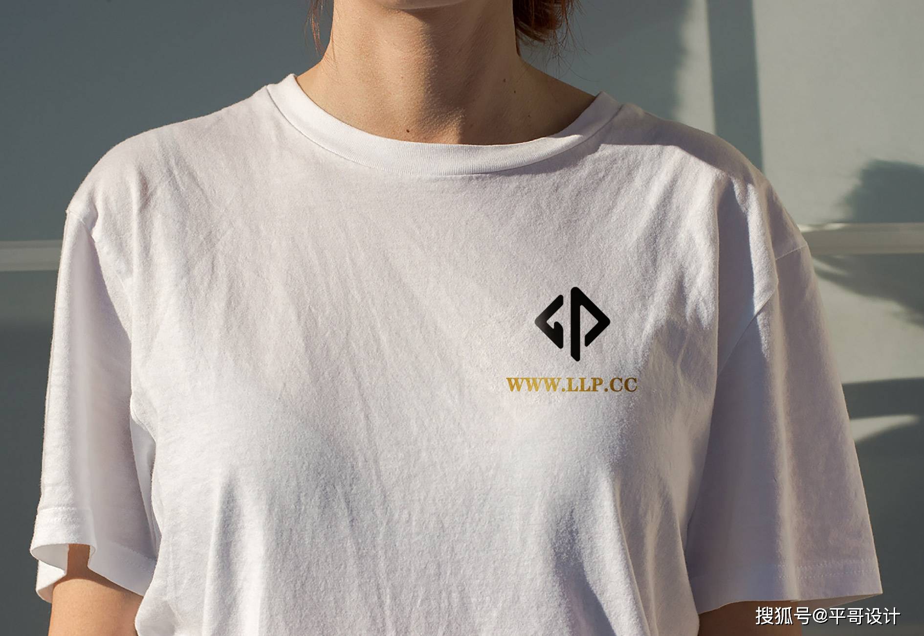 梁乐平Logo图集,流浪派Logo设计案例_搜狐汽车_搜狐网
