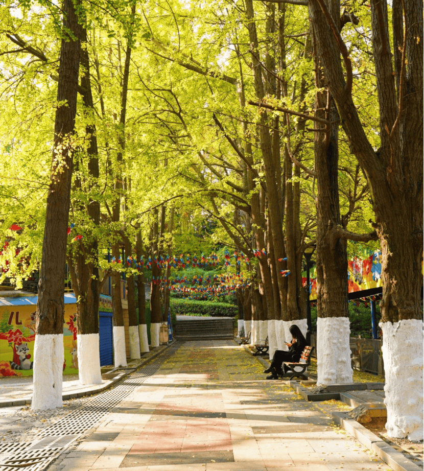 河滨公园深秋美景"拍了拍"你:出来玩呀!