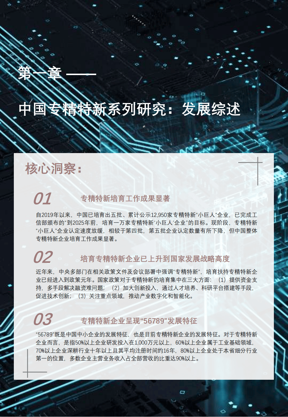 351页|2024年中国专精特新企业发展系列白皮书