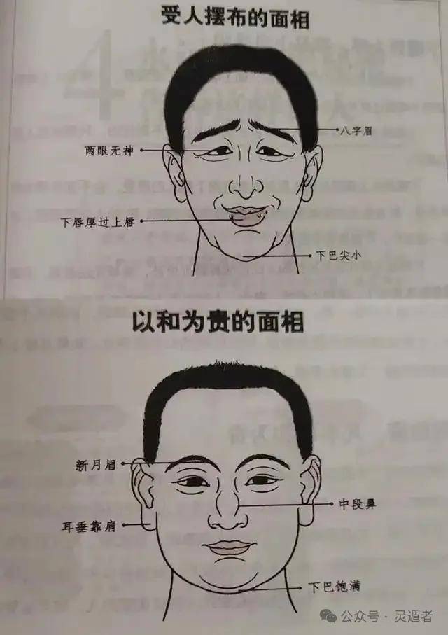 剑眉柳叶眼图片