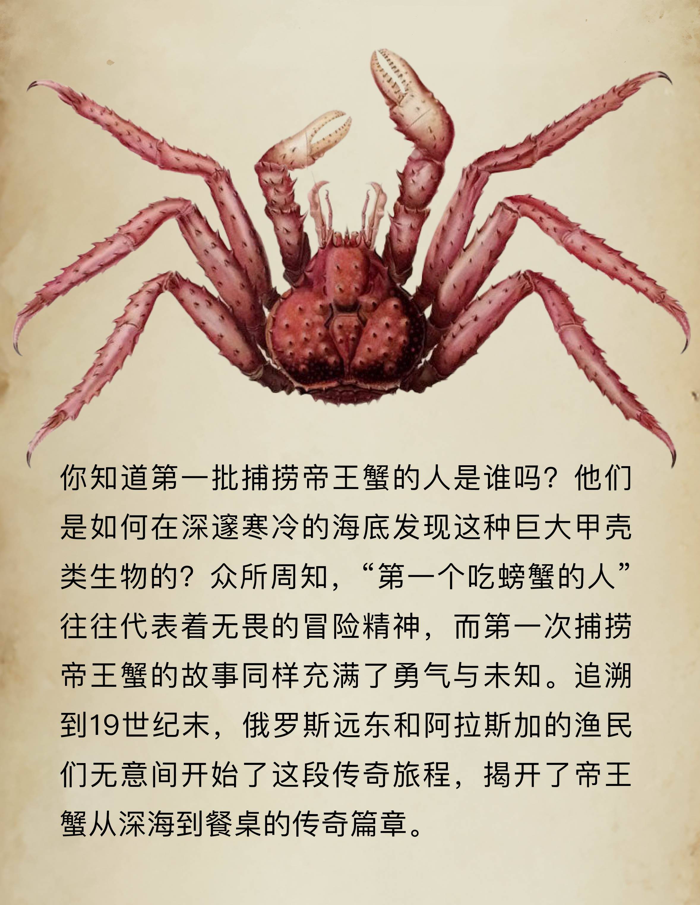 帝王之争是什么动物